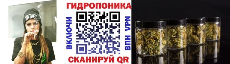 Какие есть наркотики Славгород АМФ Псилоцибиновые грибы Марихуана Гашиш МЕТАМФЕТАМИН Alpha-PVP COCAIN