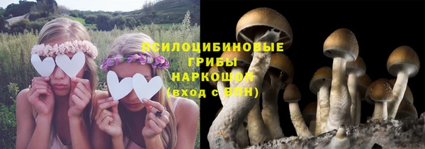 ECSTASY Зеленодольск