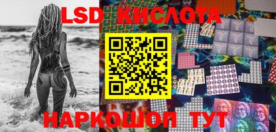 твердый Кингисепп