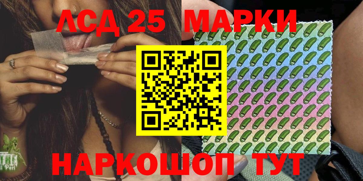 МЕФ Славгород