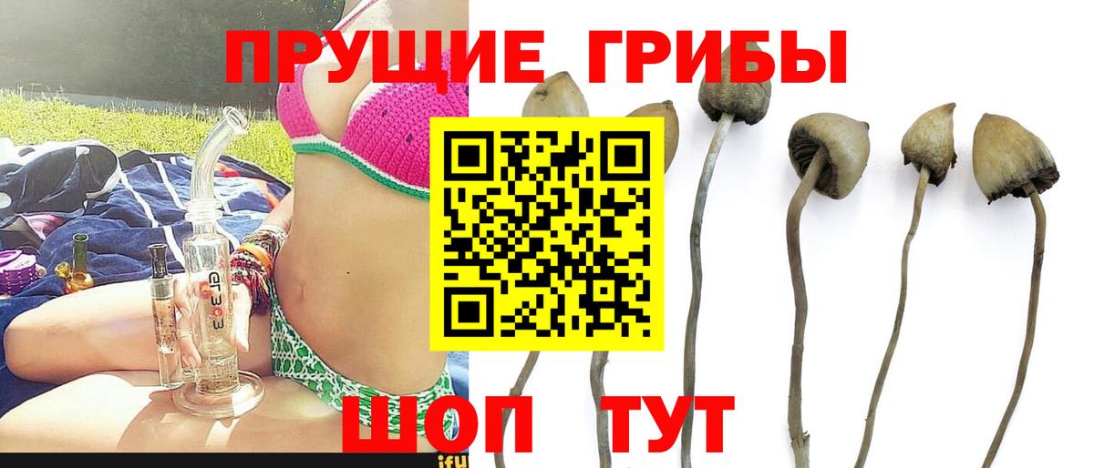 Галлюциногенные грибы MAGIC MUSHROOMS Славгород