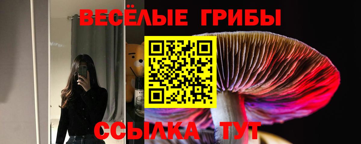 Псилоцибиновые грибы Cubensis  Вход с VPN  Псилоцибиновые грибы мухоморы  Славгород 